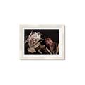 Picture of Beautiful Blooms _GroupedProduct_Rectangle_Landscape_Photography _GroupedProduct_Rectangle_Landscape_Framed_Matted_