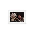 Picture of Beautiful Blooms _GroupedProduct_Rectangle_Landscape_Photography _GroupedProduct_Rectangle_Landscape_Framed_Matted_