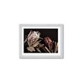 Picture of Beautiful Blooms _GroupedProduct_Rectangle_Landscape_Photography _GroupedProduct_Rectangle_Landscape_Framed_Matted_