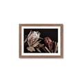 Picture of Beautiful Blooms _GroupedProduct_Rectangle_Landscape_Photography _GroupedProduct_Rectangle_Landscape_Framed_Matted_