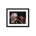 Picture of Beautiful Blooms _GroupedProduct_Rectangle_Landscape_Photography _GroupedProduct_Rectangle_Landscape_Framed_Matted_