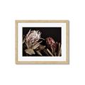 Picture of Beautiful Blooms _GroupedProduct_Rectangle_Landscape_Photography _GroupedProduct_Rectangle_Landscape_Framed_Matted_