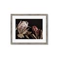 Picture of Beautiful Blooms _GroupedProduct_Rectangle_Landscape_Photography _GroupedProduct_Rectangle_Landscape_Framed_Matted_