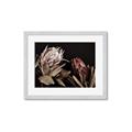 Picture of Beautiful Blooms _GroupedProduct_Rectangle_Landscape_Photography _GroupedProduct_Rectangle_Landscape_Framed_Matted_