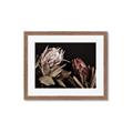 Picture of Beautiful Blooms _GroupedProduct_Rectangle_Landscape_Photography _GroupedProduct_Rectangle_Landscape_Framed_Matted_