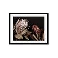 Picture of Beautiful Blooms _GroupedProduct_Rectangle_Landscape_Photography _GroupedProduct_Rectangle_Landscape_Framed_Matted_