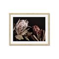 Picture of Beautiful Blooms _GroupedProduct_Rectangle_Landscape_Photography _GroupedProduct_Rectangle_Landscape_Framed_Matted_