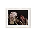 Picture of Beautiful Blooms _GroupedProduct_Rectangle_Landscape_Photography _GroupedProduct_Rectangle_Landscape_Framed_Matted_