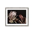 Picture of Beautiful Blooms _GroupedProduct_Rectangle_Landscape_Photography _GroupedProduct_Rectangle_Landscape_Framed_Matted_