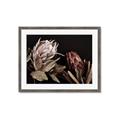 Picture of Beautiful Blooms _GroupedProduct_Rectangle_Landscape_Photography _GroupedProduct_Rectangle_Landscape_Framed_Matted_