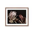 Picture of Beautiful Blooms _GroupedProduct_Rectangle_Landscape_Photography _GroupedProduct_Rectangle_Landscape_Framed_Matted_