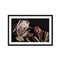 Picture of Beautiful Blooms _GroupedProduct_Rectangle_Landscape_Photography _GroupedProduct_Rectangle_Landscape_Framed_Matted_