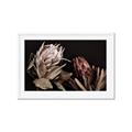 Picture of Beautiful Blooms _GroupedProduct_Rectangle_Landscape_Photography _GroupedProduct_Rectangle_Landscape_Framed_Matted_