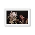Picture of Beautiful Blooms _GroupedProduct_Rectangle_Landscape_Photography _GroupedProduct_Rectangle_Landscape_Framed_Matted_