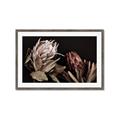 Picture of Beautiful Blooms _GroupedProduct_Rectangle_Landscape_Photography _GroupedProduct_Rectangle_Landscape_Framed_Matted_