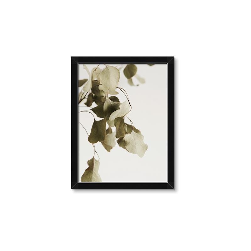 Picture of Branches _GroupedProduct_Rectangle_Portrait_Photography _GroupedProduct_Rectangle_Portrait_Framed_Matted_