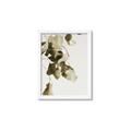 Picture of Branches _GroupedProduct_Rectangle_Portrait_Photography _GroupedProduct_Rectangle_Portrait_Framed_Matted_