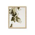 Picture of Branches _GroupedProduct_Rectangle_Portrait_Photography _GroupedProduct_Rectangle_Portrait_Framed_Matted_