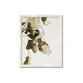 Picture of Branches _GroupedProduct_Rectangle_Portrait_Photography _GroupedProduct_Rectangle_Portrait_Framed_Matted_