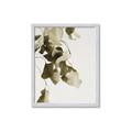 Picture of Branches _GroupedProduct_Rectangle_Portrait_Photography _GroupedProduct_Rectangle_Portrait_Framed_Matted_