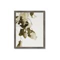 Picture of Branches _GroupedProduct_Rectangle_Portrait_Photography _GroupedProduct_Rectangle_Portrait_Framed_Matted_