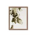 Picture of Branches _GroupedProduct_Rectangle_Portrait_Photography _GroupedProduct_Rectangle_Portrait_Framed_Matted_