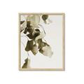 Picture of Branches _GroupedProduct_Rectangle_Portrait_Photography _GroupedProduct_Rectangle_Portrait_Framed_Matted_