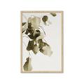 Picture of Branches _GroupedProduct_Rectangle_Portrait_Photography _GroupedProduct_Rectangle_Portrait_Framed_Matted_