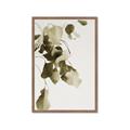 Picture of Branches _GroupedProduct_Rectangle_Portrait_Photography _GroupedProduct_Rectangle_Portrait_Framed_Matted_