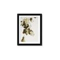 Picture of Branches _GroupedProduct_Rectangle_Portrait_Photography _GroupedProduct_Rectangle_Portrait_Framed_Matted_