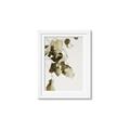 Picture of Branches _GroupedProduct_Rectangle_Portrait_Photography _GroupedProduct_Rectangle_Portrait_Framed_Matted_