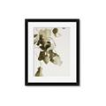 Picture of Branches _GroupedProduct_Rectangle_Portrait_Photography _GroupedProduct_Rectangle_Portrait_Framed_Matted_