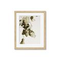 Picture of Branches _GroupedProduct_Rectangle_Portrait_Photography _GroupedProduct_Rectangle_Portrait_Framed_Matted_