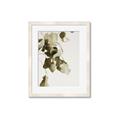 Picture of Branches _GroupedProduct_Rectangle_Portrait_Photography _GroupedProduct_Rectangle_Portrait_Framed_Matted_