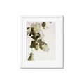 Picture of Branches _GroupedProduct_Rectangle_Portrait_Photography _GroupedProduct_Rectangle_Portrait_Framed_Matted_