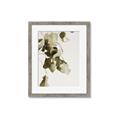 Picture of Branches _GroupedProduct_Rectangle_Portrait_Photography _GroupedProduct_Rectangle_Portrait_Framed_Matted_