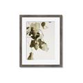 Picture of Branches _GroupedProduct_Rectangle_Portrait_Photography _GroupedProduct_Rectangle_Portrait_Framed_Matted_