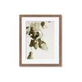 Picture of Branches _GroupedProduct_Rectangle_Portrait_Photography _GroupedProduct_Rectangle_Portrait_Framed_Matted_