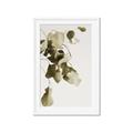 Picture of Branches _GroupedProduct_Rectangle_Portrait_Photography _GroupedProduct_Rectangle_Portrait_Framed_Matted_