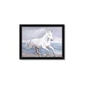 Picture of Wild Horse _GroupedProduct_Rectangle_Landscape_Framed_Matted_