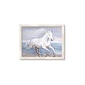 Picture of Wild Horse _GroupedProduct_Rectangle_Landscape_Framed_Matted_