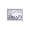 Picture of Wild Horse _GroupedProduct_Rectangle_Landscape_Framed_Matted_