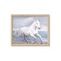 Picture of Wild Horse _GroupedProduct_Rectangle_Landscape_Framed_Matted_