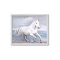 Picture of Wild Horse _GroupedProduct_Rectangle_Landscape_Framed_Matted_