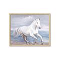 Picture of Wild Horse _GroupedProduct_Rectangle_Landscape_Framed_Matted_