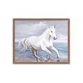Picture of Wild Horse _GroupedProduct_Rectangle_Landscape_Framed_Matted_