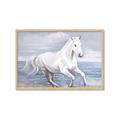 Picture of Wild Horse _GroupedProduct_Rectangle_Landscape_Framed_Matted_