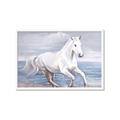 Picture of Wild Horse _GroupedProduct_Rectangle_Landscape_Framed_Matted_