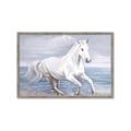 Picture of Wild Horse _GroupedProduct_Rectangle_Landscape_Framed_Matted_