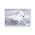 Picture of Wild Horse _GroupedProduct_Rectangle_Landscape_Framed_Matted_